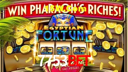 Experiência VIP 7753Bet
